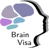BrainVISA